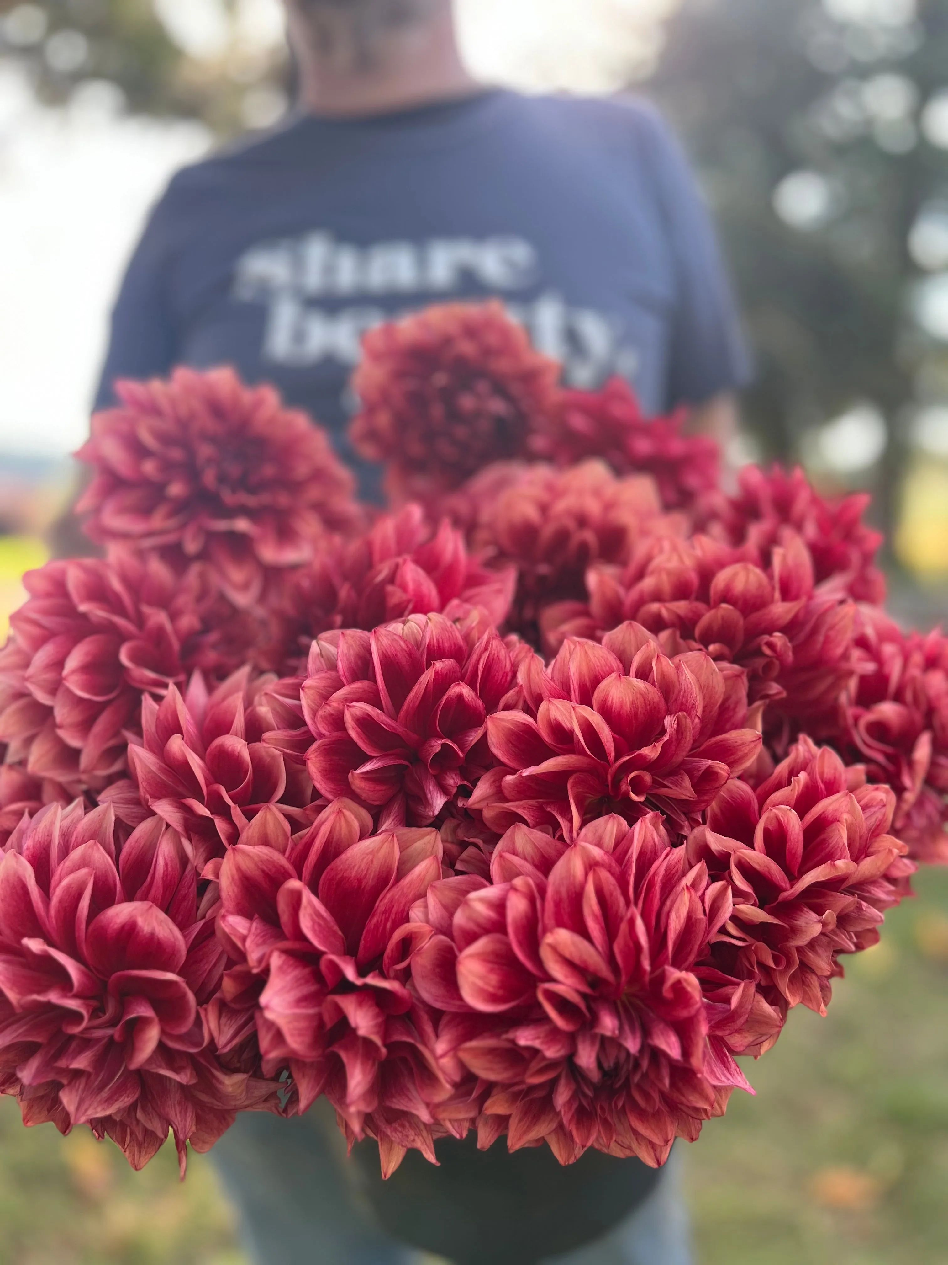 Bloomquist York Dahlia Tuber