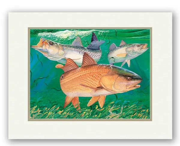 CHUMS 11X14 MINI UF