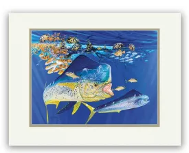 DOLPHIN SUMMER 11X14 MINI UF