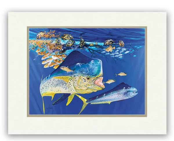 DOLPHIN SUMMER 11X14 MINI UF